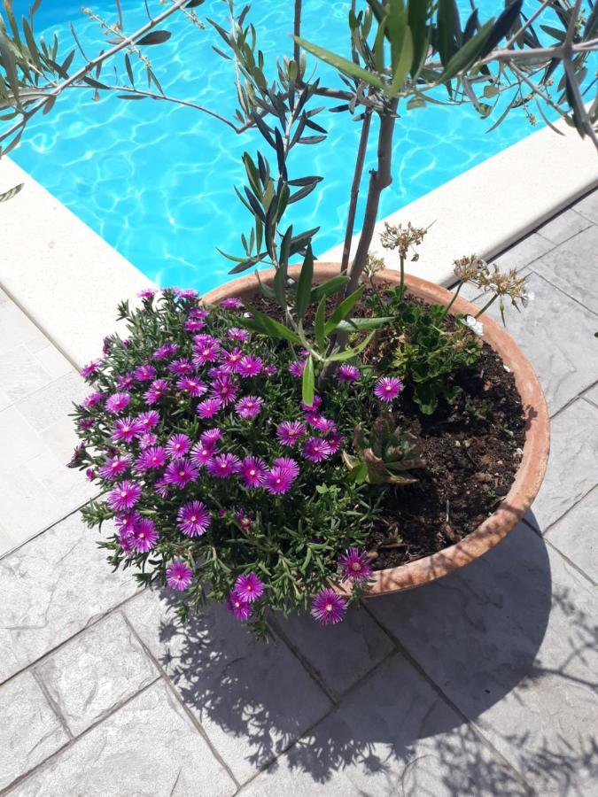 Holiday Home Bepo Sevid Luaran gambar